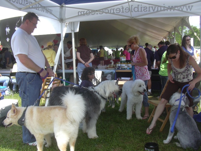 /images/events/11/Bark in the Park 2008 031.jpg